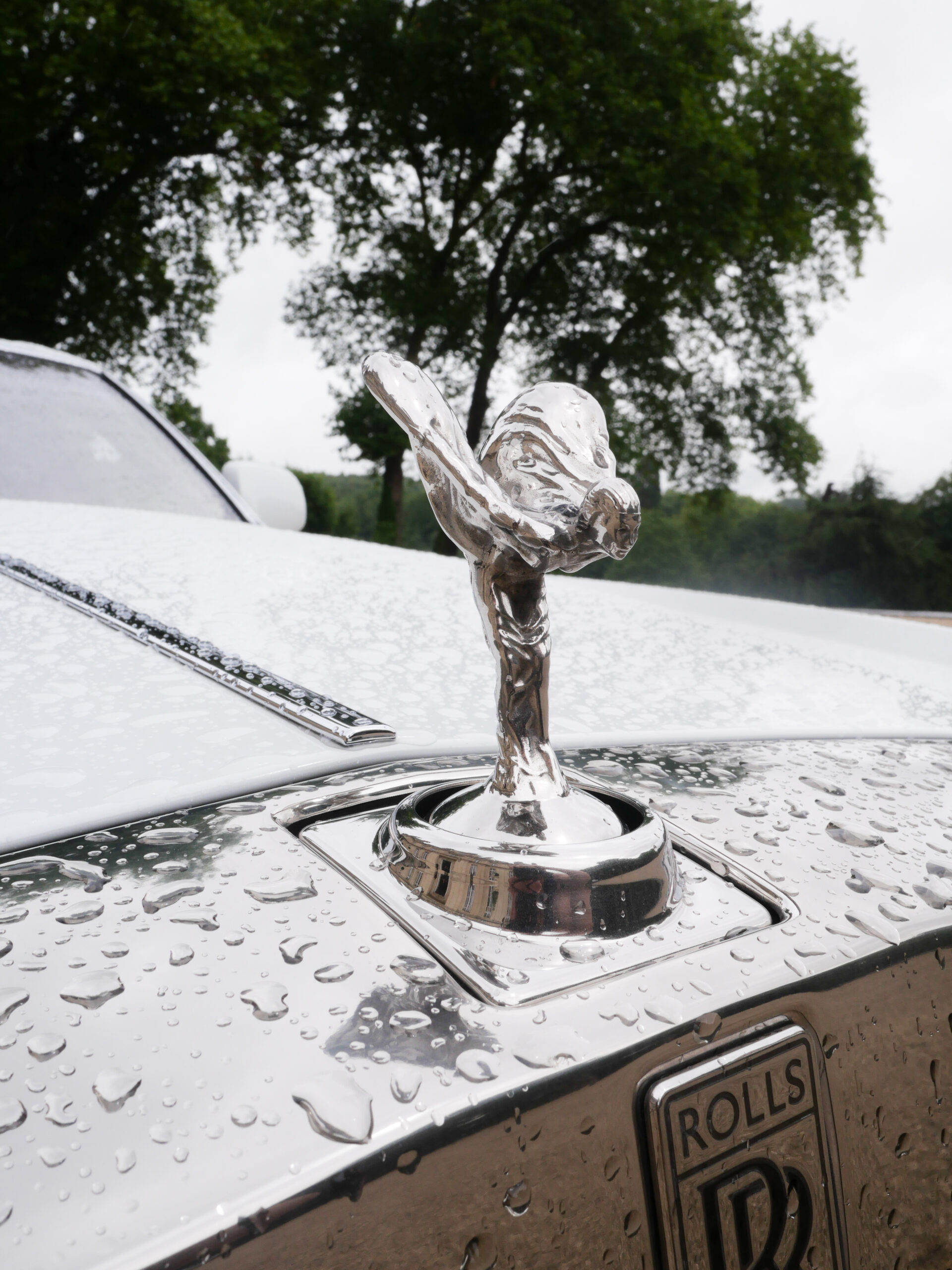 Elegant glass detail on a car during a luxury wedding at Château de Saint-Martin-du-Tertre